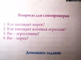 БЕЗ СЛОВ...