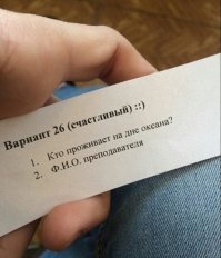 БЕЗ СЛОВ...