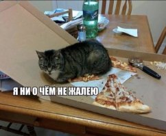 С добрым утром