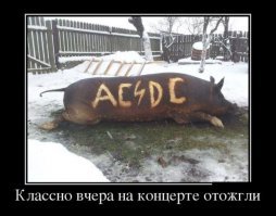 Друг мой - Борька