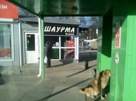 Нежданчик? Этот ларёк уже лет пять выглядит вот так. А то его уже в шишки затаскали, из одной подборки в другую. Специально сфоткала месяц назад. Ульяновск, остановка Парк Победы.