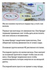 Но это же не правда, вот правда.