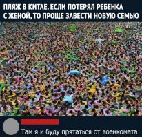 "Коменты - огонь!": 20+ убойных скринов с остроумными комментариями