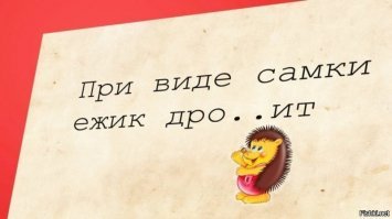 Прикольные и смешные картинки