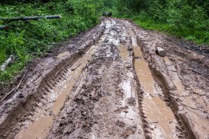 кирпич на педаль газа, а сам в кузов к дояркам!