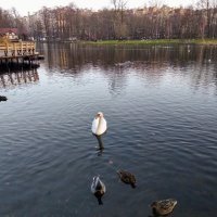 А у нас вот так. Хотя бывает и так как на последнем фото.