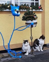 А у нас вот так. Хотя бывает и так как на последнем фото.