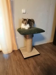 Под Новый год происходят чудеса!!!