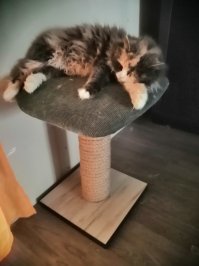 Под Новый год происходят чудеса!!!