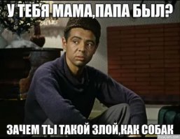 Подарок хвостатым на Новый год