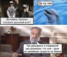 Прикольные и смешные картинки