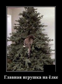 Новогодние демотиваторы