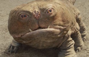 А если еще и провести в России новогодние праздники...