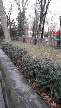 Если для Москвы это аномалия, то для Юга вполне нормальное явление, не знаю может мы привыкли без снега, т.к за последние лет 5 он шел то пару раз, а про "лежать" и речи нет... но никто не сокрушается по поводу его отсутствия, даже наоборот нафиг не нужен, ибо если выпадет ложка снега, то город практически становится по причине изобилия летней резины, потому как зимнюю ставят считанные единицы. Вот такая зима в Краснодаре уже много лет подряд