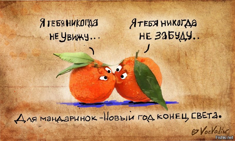 Солянка от 31.12.2019