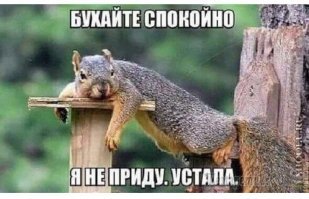 Кто кроме Деда Мороза приходит к людям на Новый год и Рождество?