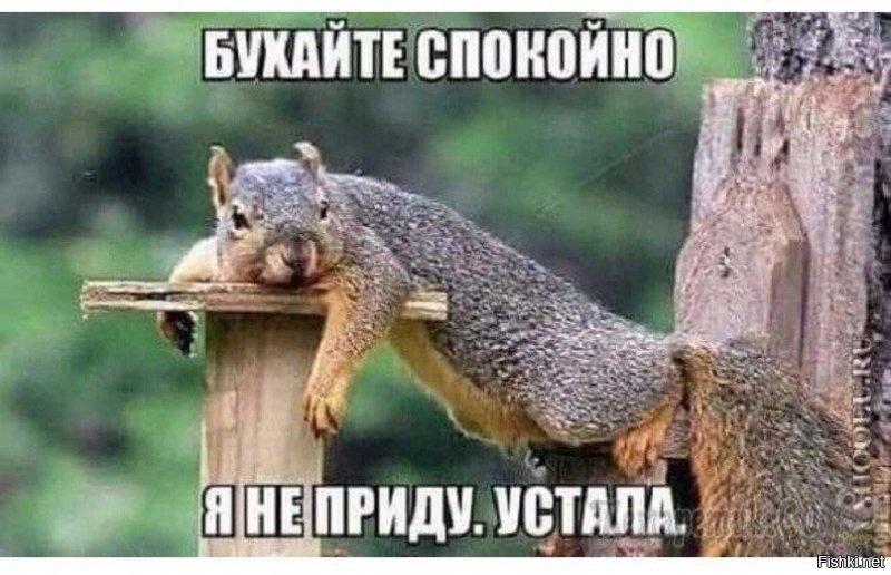 Кто кроме Деда Мороза приходит к людям на Новый год и Рождество?