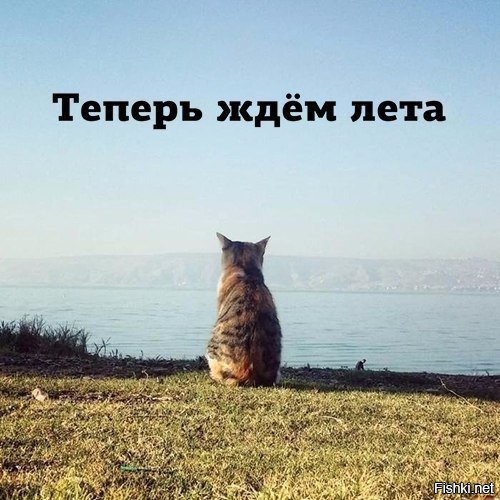 Нучтош…