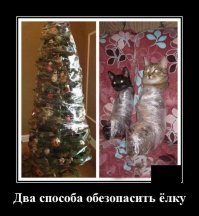 Кошки и елки