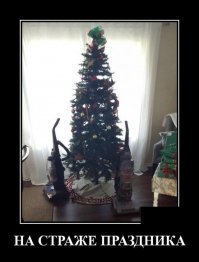 Кошки и елки