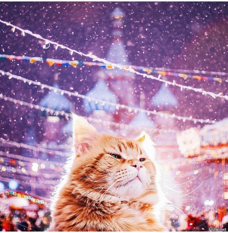 С Новым годом 