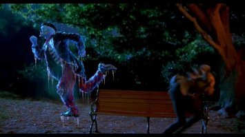 Два енота притворились «статуями», после того как их обнаружили в саду