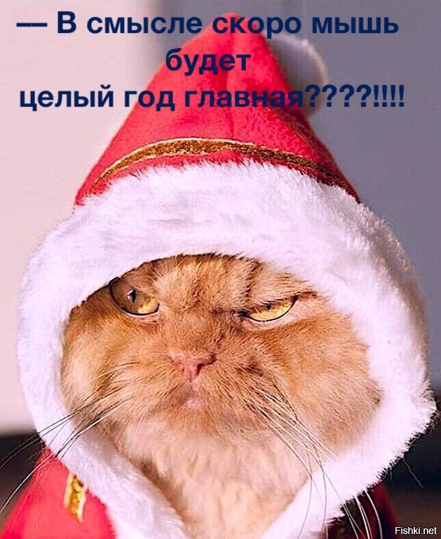 Прикольные и смешные картинки