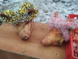 С новым годом,хохлоскот.