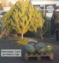 Прикольные и смешные картинки