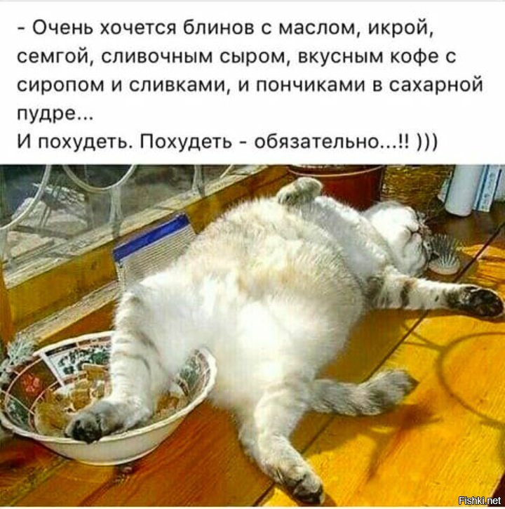 Прикольные и смешные картинки