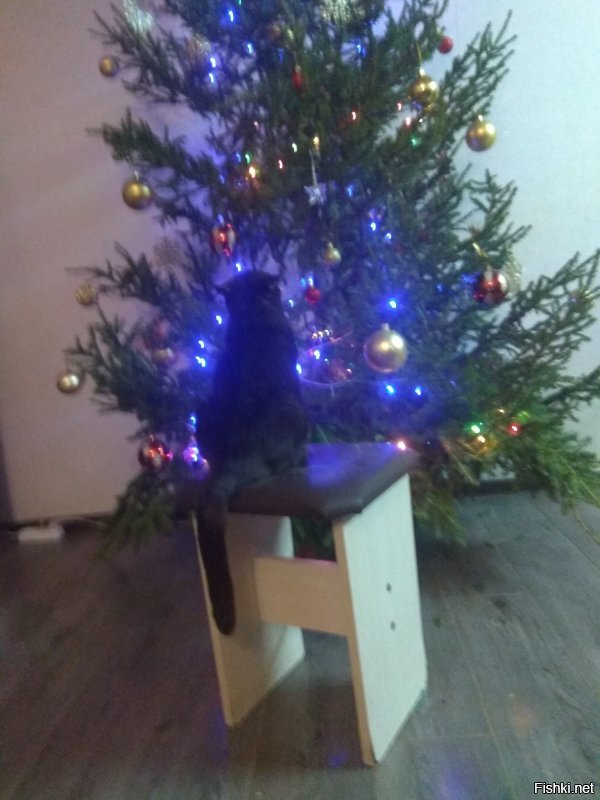 А у меня как-то так.
