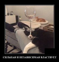 Намешалось
