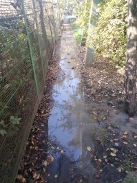 Люки уже уперли, но такая  картина раз в пару месяцев по всему району