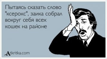 Почему кошки откликаются на «кис-кис»?