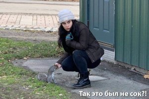 Фотоподборка