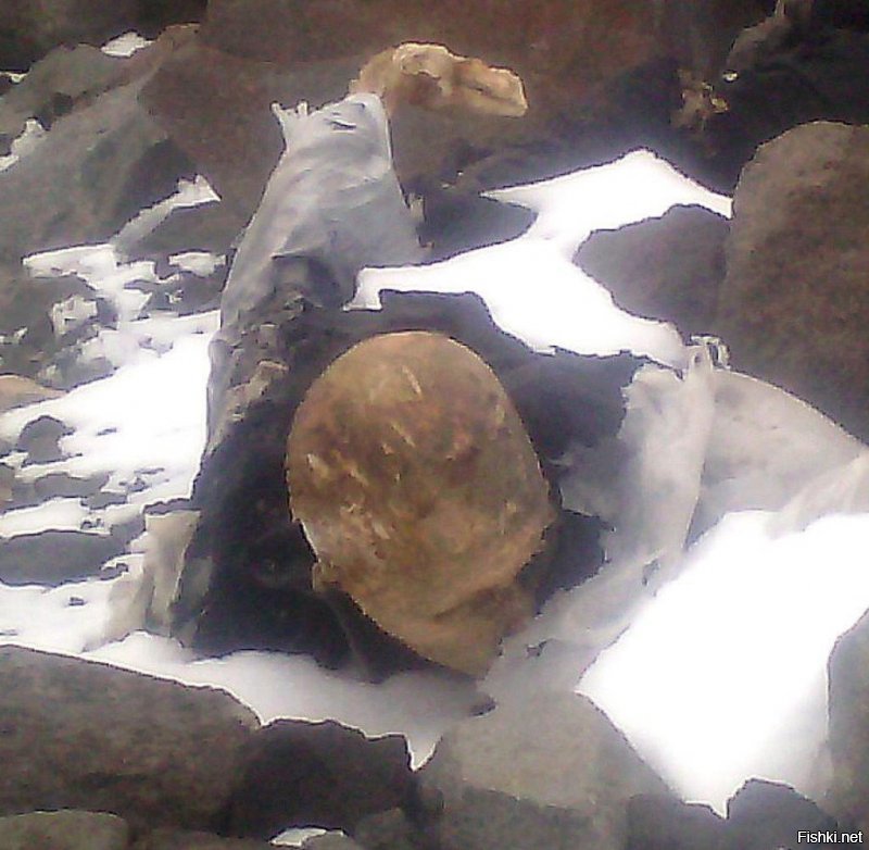 Это Эверест . Они думали что они "сильные" и "крутые" . 
Я всё сказал .