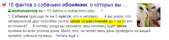 Собаки телепатически могут чувствовать возвращение хозяев