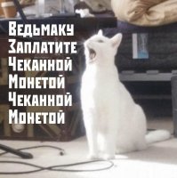 «Ведьмаку заплатите»: Омский народный хор записал свою версию песни из сериала «Ведьмак»