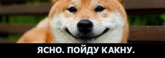 Собаки телепатически могут чувствовать возвращение хозяев