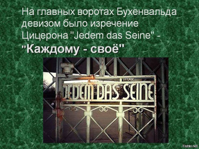 Солянка от 03.01.2020
