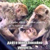 Прикольные и смешные картинки