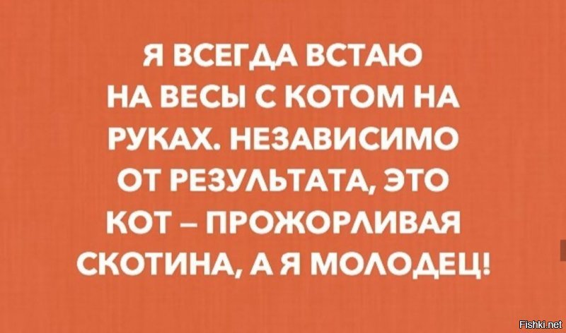 шёл четвертый День праздников: