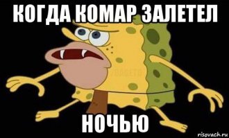 Комар в эпоксидной смоле