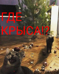 15 новогодних происшествий, которые чуть не испортили всем праздник