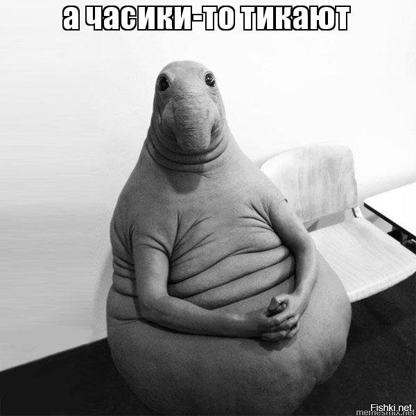 Солянка от 03.01.2020