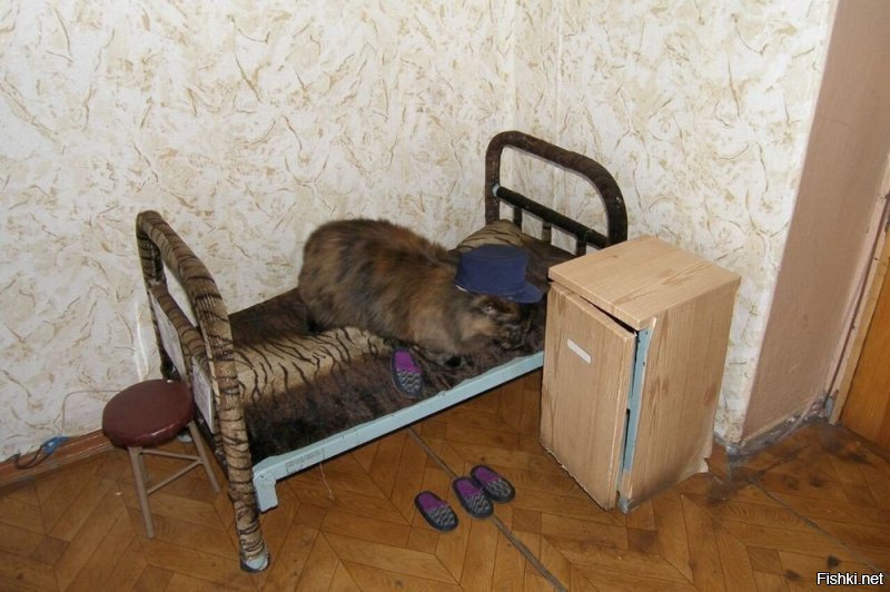 Барак с линолеумом, обоями и деревянной дверью?