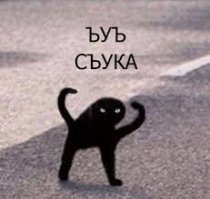 Арабская нооочь!..
Сук!..ЪУЪ!!! 
Пока дочка(дело было в 90-х)ждала выходных и смотрела все серии этого мультфильма(и какой идиот на ТВ их додумался показывать в 9 утра воскресенья?),поневоле-запомнишь...