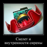 Ну очень занимательная анатомия: криптозоология из сказок и мифов