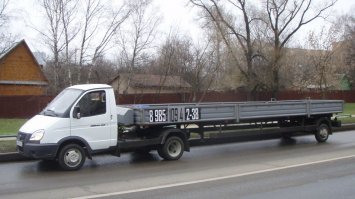 Когда мама газель, а папа жираф