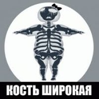 Прикольные и смешные картинки